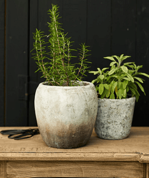 ARTIFICIAL PLANTS