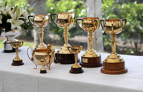 Cup celebrations