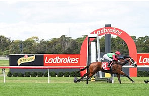 Forbidden City - Raced by Trelawney Stud