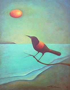 Tieke the Water Bird