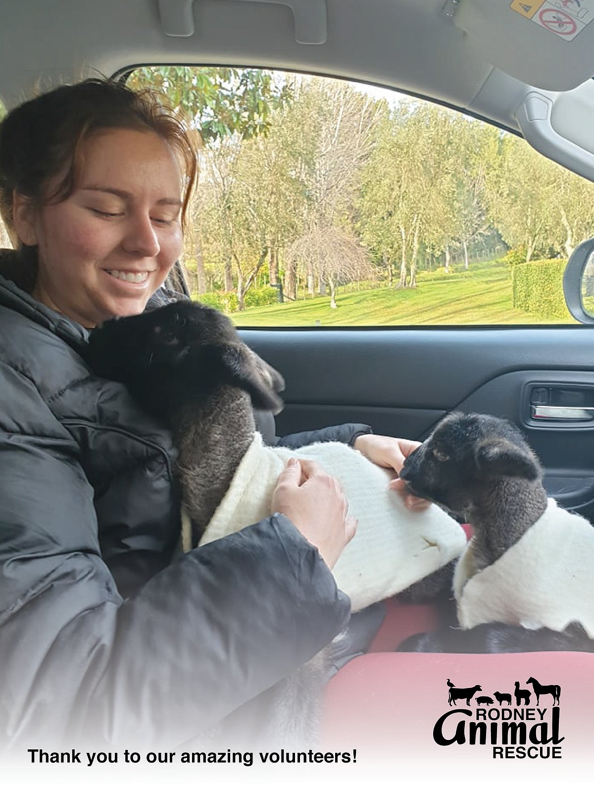 You Can Help | Rodney Animal Rescue