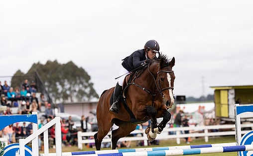 Show Jumping