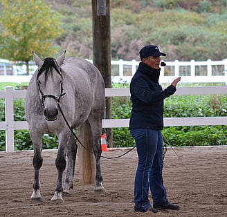 Clicker Training