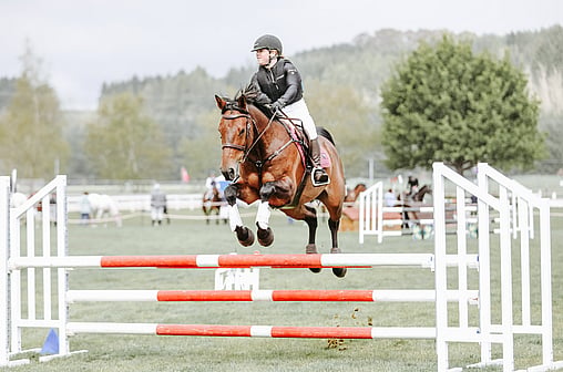 NZ Pony Club Teams