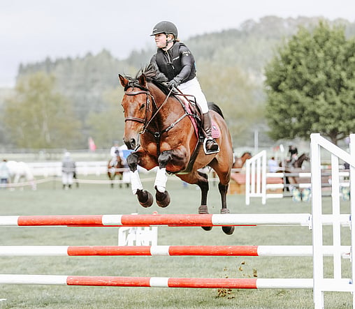 Pegasus Cup Qualifer Express