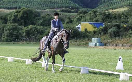 Working Equitation