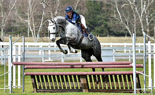 Show Hunter