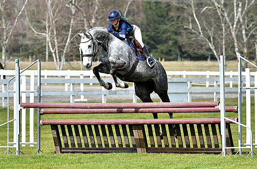 Show Hunter