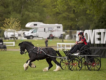 Scurrying - Horowhenua & Districts Harness Driving