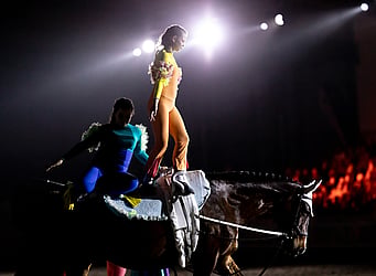 Vaulting  - Kapiti Equestrian & Vaulting Club