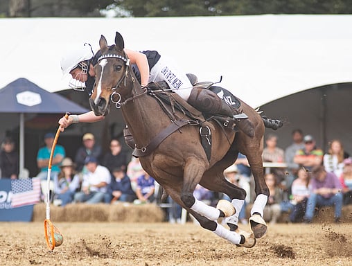 Polocrosse