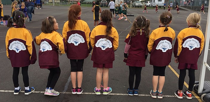 Proud Sponsors of Cambridge Junior Netball