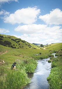 Beautiful stream