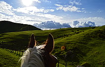 stunning views on a horses back