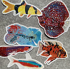 Laminated Stickers