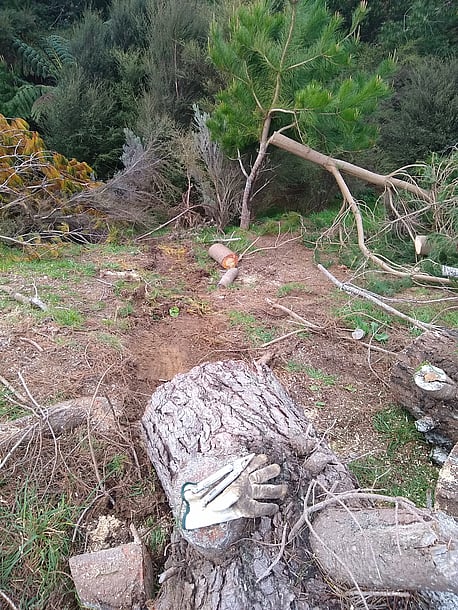 Dragged log - pulling with the 4WD wasnt possible due to lost traction
