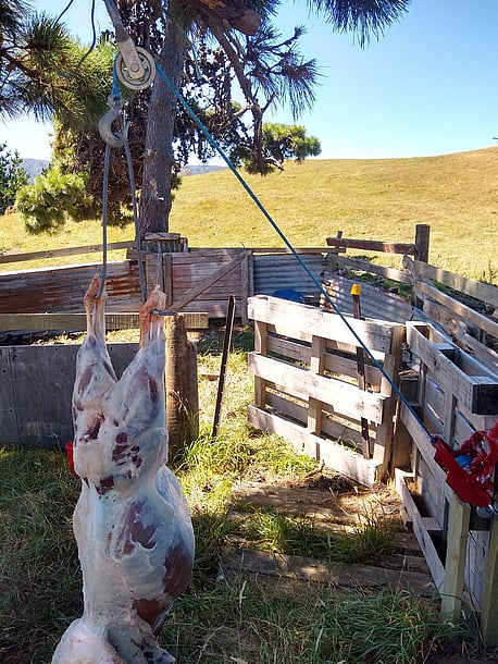 Handy for hunters, lifestylers and farmers to process their own meat