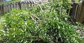 Green Waste Removal - Not sure how to dispose of that unsightly garden waste? We will happily remove it for you. Note that additional removal fees apply for flax or cabbage tree waste.