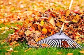 Ground maintenance - From seasonal clean ups at your beach home to looking after your  garden, we offer year-round full-service ground maintenance to suit your budget.