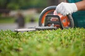Hedge & Tree Trimming - From simple shrubs to tall hedges we have a range of  equipment from handheld shrub shears, hedge trimmers through to pole and telescopic trimmers reaching up to 3.2 metres. We also have a telescopic pole cutter with a 2.9 metre reach for those problem branches. Chainsaw for larger tasks. All waste is bagged & removed.