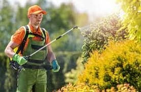 Weed Spraying - We  proudly use an environmentally friendly herbicide that is pet friendly and  safe for home use. Made from naturally occurring materials this non-toxic bio-degradable spray has visible, long lasting results within hours of application, leaves no toxic residue in soils or plants, aids soil health, and weeds don&rsquo;t develop resistance.  It is safe for use on veggies with no stand down period.