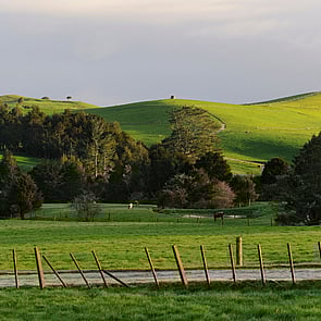 Agriculture - We provide access to data and data visualisation tools that give you access to the data you need to make the best decisions on farm, in real time.
