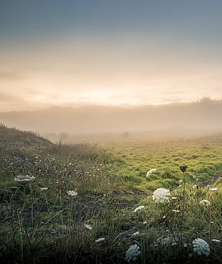 Morning at River side escapes| Escape beside the river, tucked up in your own cabin