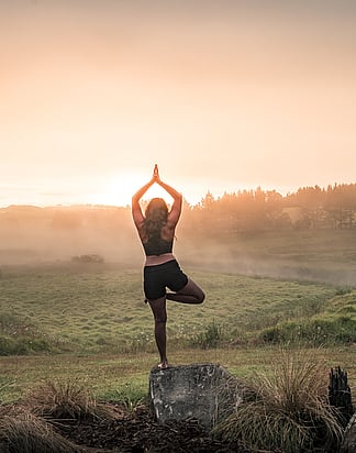 Eco-friendly accommodation in Mangonui New Zealand