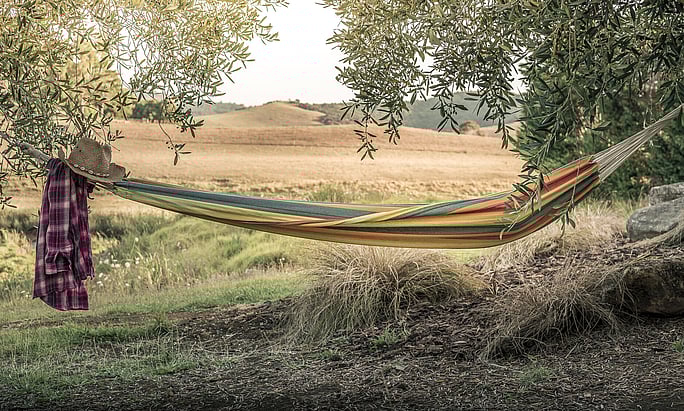 Relax in your hammock nestled in the olive trees | Riverside Escapes | river accommodation | Far North New Zealand | Riverside escapes