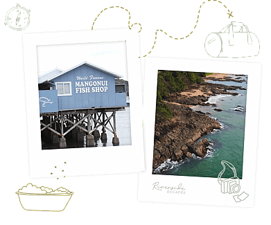 Explore Northland and the Far North while you stay at Riverside Escapes