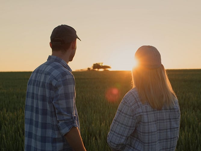 Sunset over a working farm — a snapshot of regional life, community, and the rhythms of agriculture.