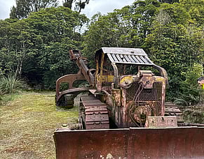 Bringing History to Life: The Proposed D7 Project