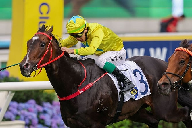 Lucky Sweynesse winning the Gr.2 Chairman's Trophy at Sha Tin on Monday. - Photo: Hong Kong Jockey Club