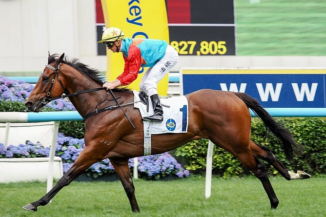 Ka Ying Rising got his nineteenth consecutive win in the Gr.2 Sprint Cup at Sha Tin on Monday. -  Photo: Hong Kong Jockey Club