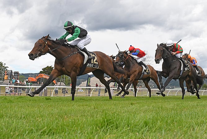 Marotiri Molly has been retired from racing.  - Photo: Peter Rubery (Race Images)