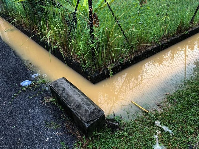 flooded garden