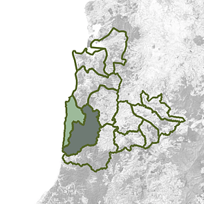 Awakino & Tasman