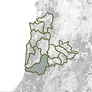 Lower Mokau