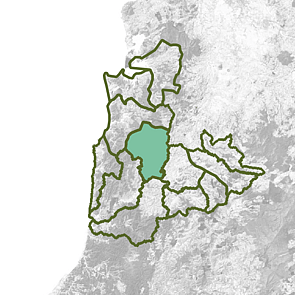 Mangaotaki -Mairoa