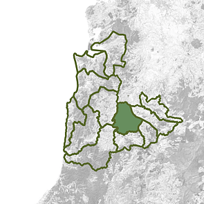 Mid Mokau - Piopio