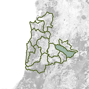Upper Mokau - Mangapehi
