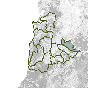 Upper Mangaokewa
