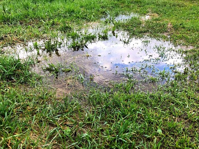 lawn flooding
