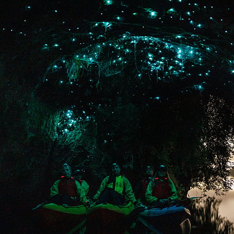 Guided glow worm kayak tour in Rotorua with group paddling beneath glowing cave ceiling