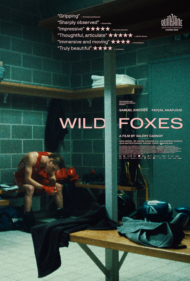 ‘WILD FOXES’ – A Coming-Of-Age Boxing Drama About Friendship, Pain And Identity