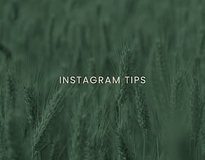 How to Freshen Up Your Instagram During A Lockdown