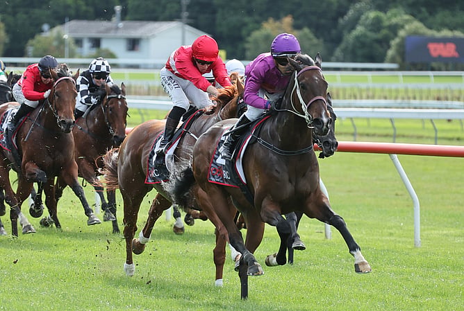 Platinum Attack winning the Listed City Of Napier Sprint (1200m).  - Photo: Peter Rubery (Race Images)
