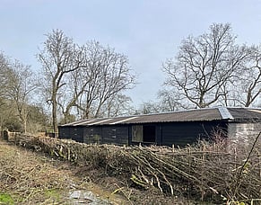 Hedge Laying - a new skill for the volunteers