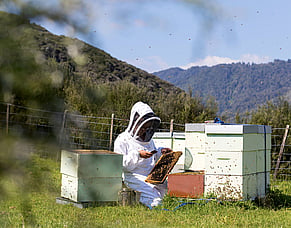 Protecting Farm Income: What Happens If You Can&rsquo;t Work?