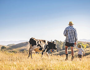 Farm Succession Planning: Protecting Your Business and Your Family